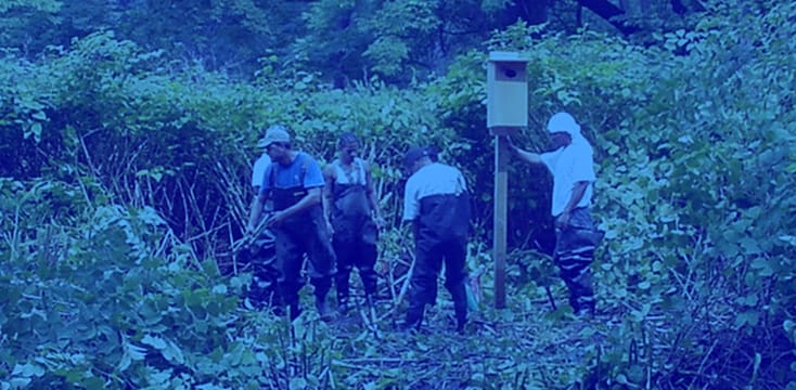 Four people in the middle of weeds that are taller than all of them. the rightmost person is leaning on a bird house